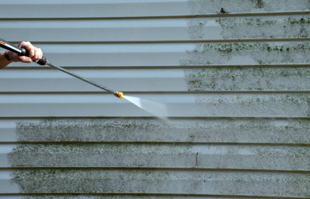 Professional Pressure Washing in Merrillville, IN