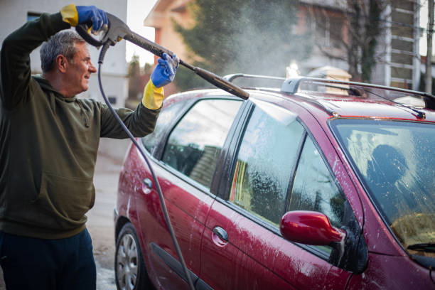Best Roof Pressure Washing  in Merrillville, IN